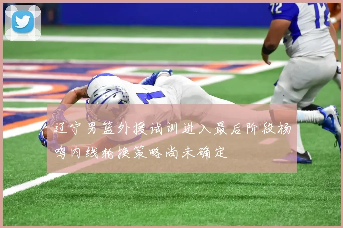 辽宁男篮外援试训进入最后阶段杨鸣内线轮换策略尚未确定