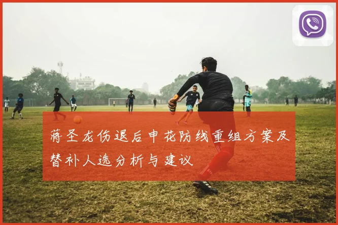 蒋圣龙伤退后申花防线重组方案及替补人选分析与建议