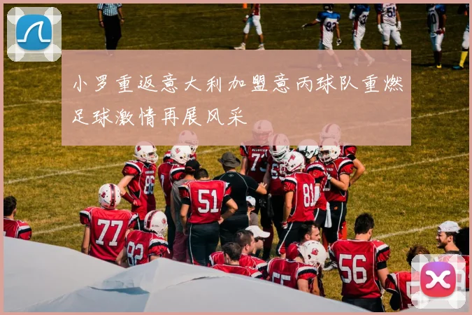 小罗重返意大利加盟意丙球队重燃足球激情再展风采